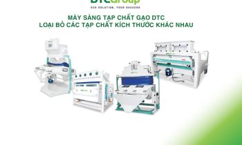 Bộ sản phẩm máy sàng tạo chất gạo